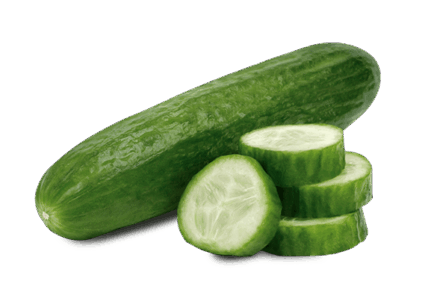 CUCUMBER CUCUMBER