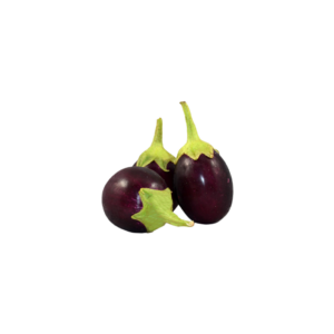 LOOSE  EGG PLANT