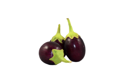 LOOSE EGG PLANT