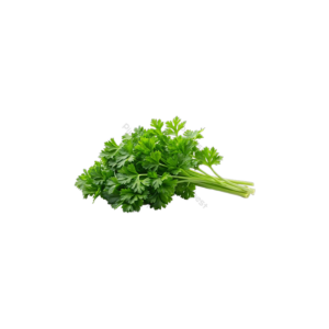 PARSLEY