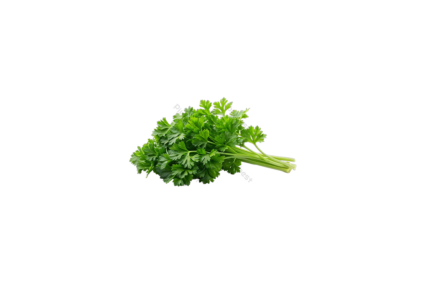 PARSLEY