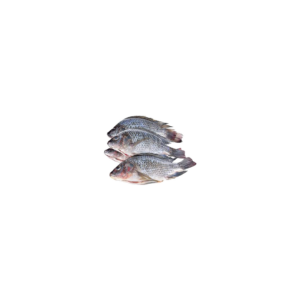 TILAPIA 700g