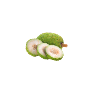 YOUNG JACKFRUIT